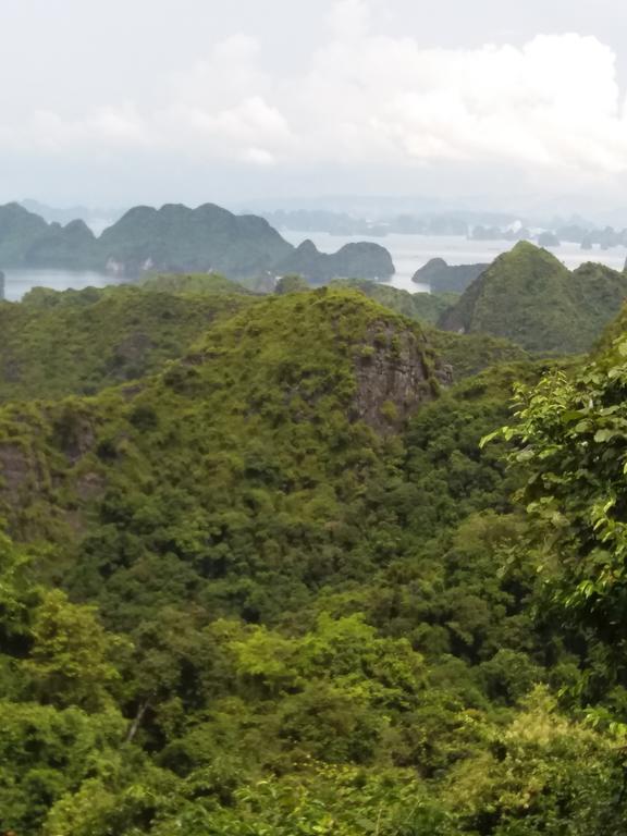 Duc Tuan Hotel Hai Phong Kültér fotó